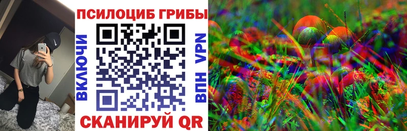 Галлюциногенные грибы Psilocybe  hydra зеркало  Александровское 